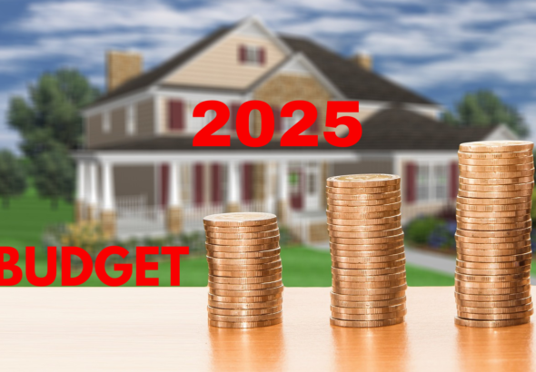 India Budget 2025