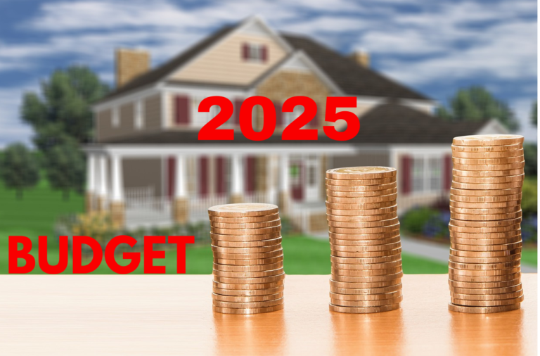 India Budget 2025